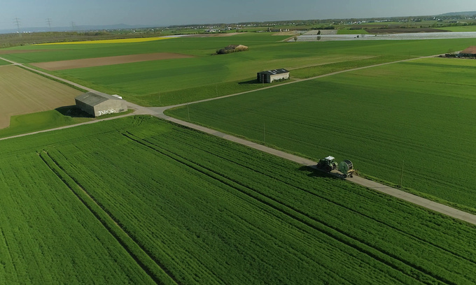 Eselswiese Rüsselsheim