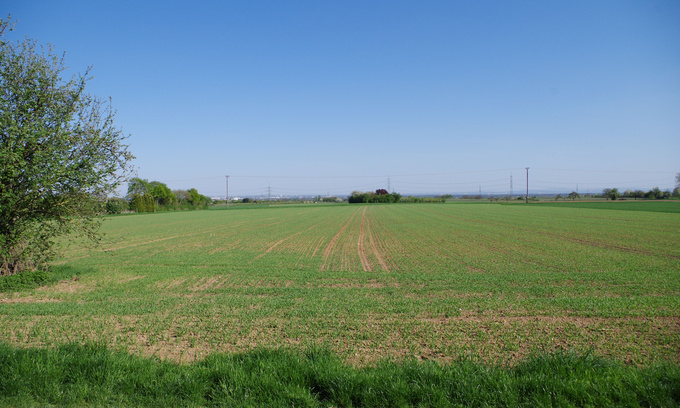 Hofheim - Römerwiesen