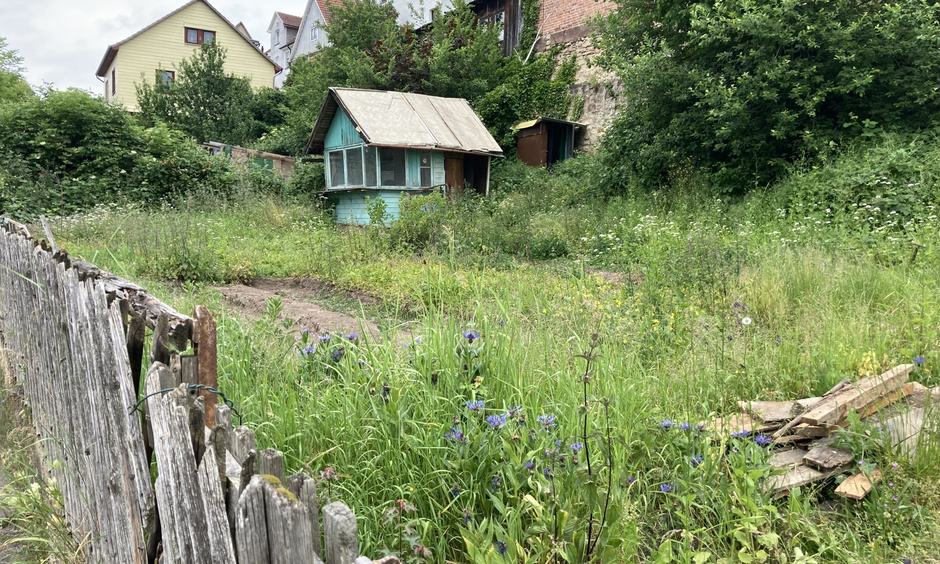 Ein verwucherter Garten mit einer kaputten Holzhütte.