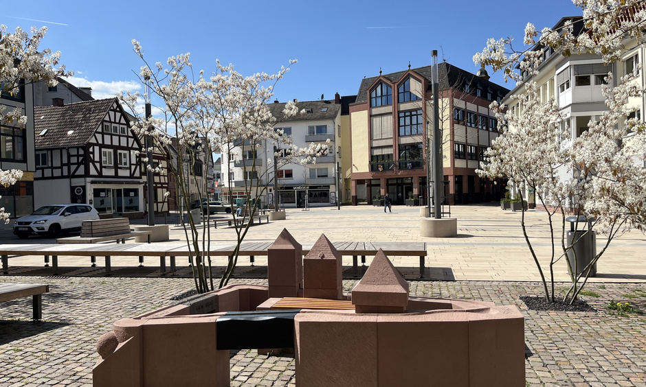 Blick auf einen Platz mit Bäumen und Sitzgelegenheiten, im Hintergrund Häuser, z.T. mit Fachwerk