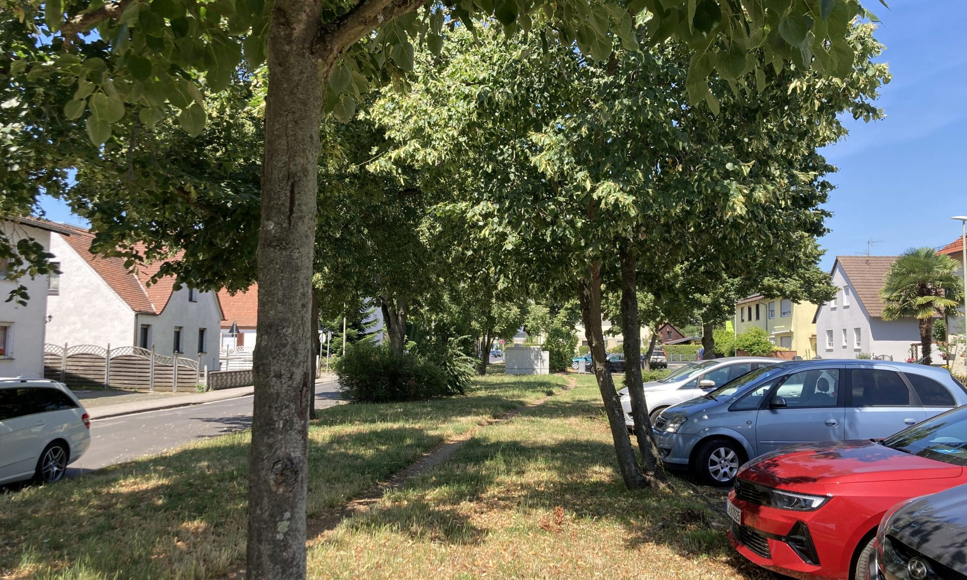 Grünstreifen mit Wiese und Bäumen sowie Autos, die ganz nah daran parken