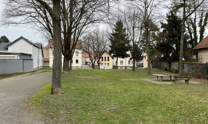 Fördergebietsmanagement Wöllstadt